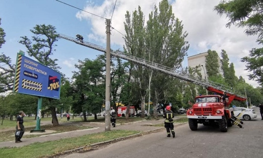 Сегодня в Николаеве перекрыли улицу Чкалова из-за... кота