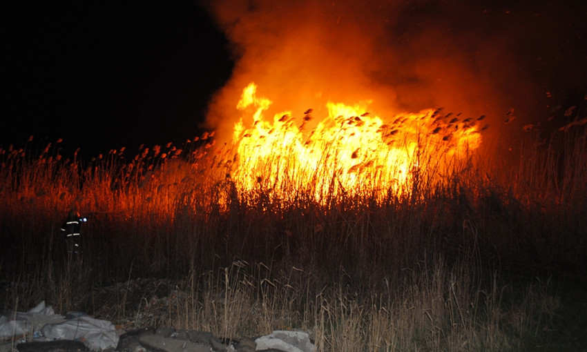На Ингуле выгорело 3 гектара камыша