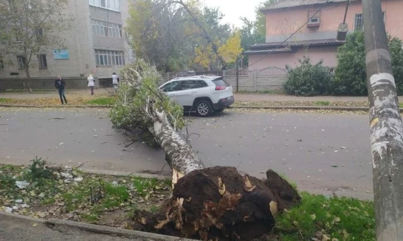 В Николаеве дерево упало на автомобиль, оборвало провода и повалило несколько электроопор