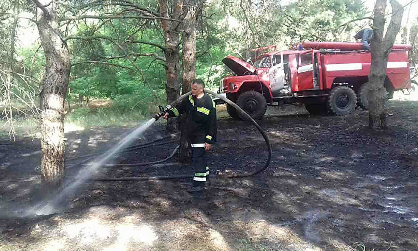 В Николаеве в результате поджогов за один день горело два лесных урочища