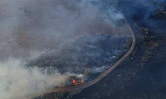 Появилось видео, как николаевские спасатели тушили пожар в заповеднике 