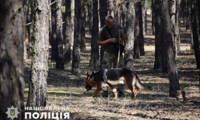 Пропавшую в лесу под Николаевом девочку нашла служебная овчарка