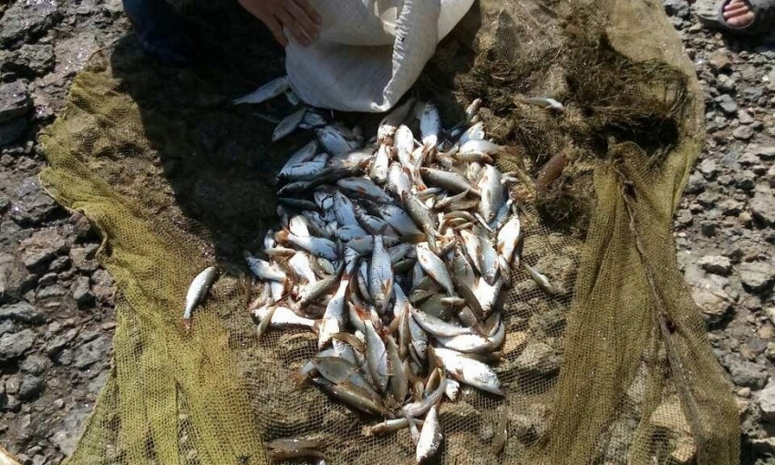 В Варваровке на берегу Бугского лимана задержали браконьеров с уловом на 20 тысяч