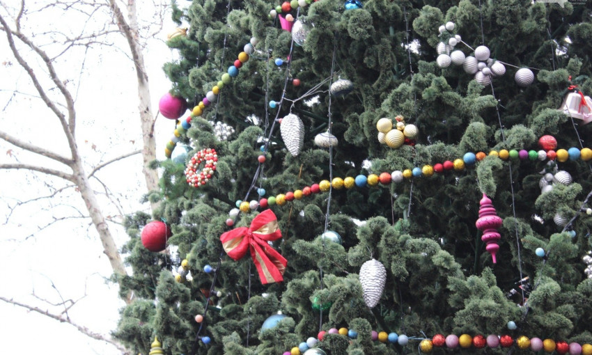 В Николаеве праздничными огнями засияла еще одна новогодняя елка