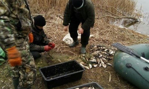 В Николаевской области за прошедший месяц браконьеры выловили более 710 кг рыбы разных пород