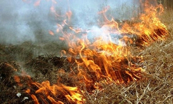 В Николаеве за сутки было зафиксировано 16 случаев возгорания сухой травы