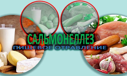 В Николаевской области зарегистрирована вспышка острых кишечных инфекций – сальмонеллез