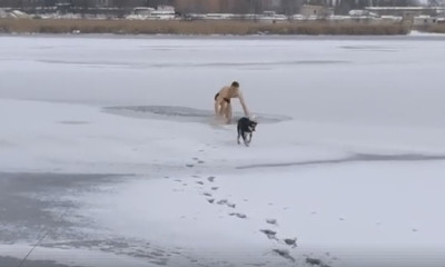 В микрорайоне Аляуды собака провалилась под лед, животное спас молодой человек
