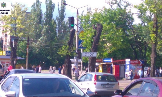 Ветки деревьев в Николаеве закрывают дорожные знаки и создают аварийные ситуации