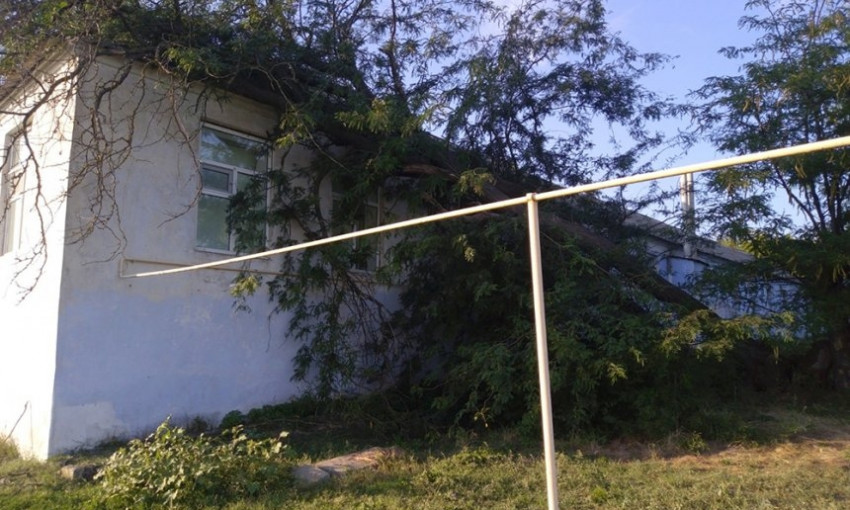 На здание соцобслуживания в Новой Одессе упали два дерева