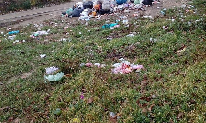 Жители Николаева жалуются: в городе по две недели не вывозят мусор