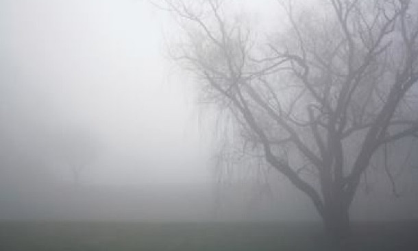 Из-за сильного тумана водителям в Николаевский области следует быть более осторожными
