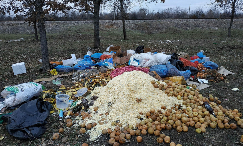 Неизвестные выбросили в парковой зоне  пищевые отходы и испортившиеся продукты