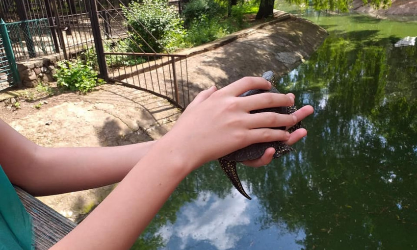 В Николаевском зоопарке отпраздновать Всемирный день черепахи