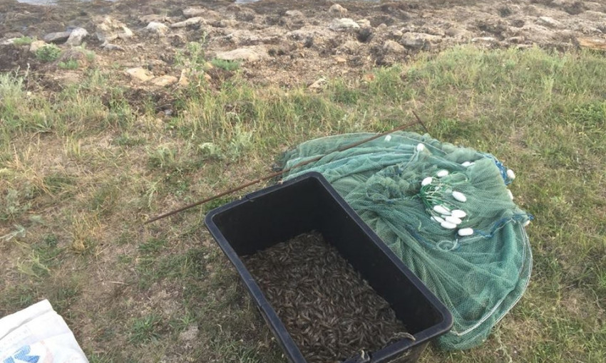 В Очаковском районе рыбоохранный патруль задержал двух браконьеров с уловом