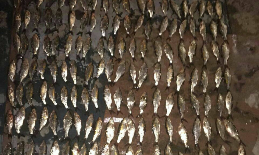 В Николаеве местный браконьер выловил рыбы почти на 15 тысяч гривен