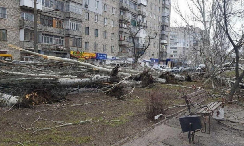 В Николаеве сильный ветер повалил более 250 деревьев и разрушил 75 крыш домов