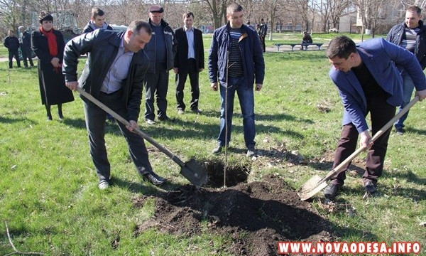 На Николаевщине приобщились к акции "Посади дерево мира"