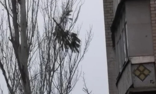 В Николаеве елки выкидывают из окон многоэтажек
