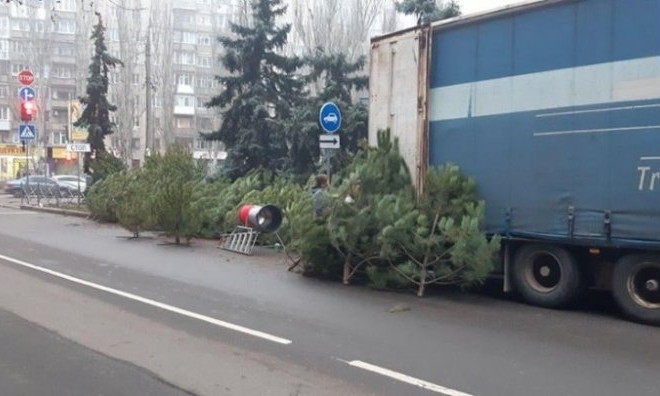 В Николаеве оштрафовали продавца елок, торгующего на дороге