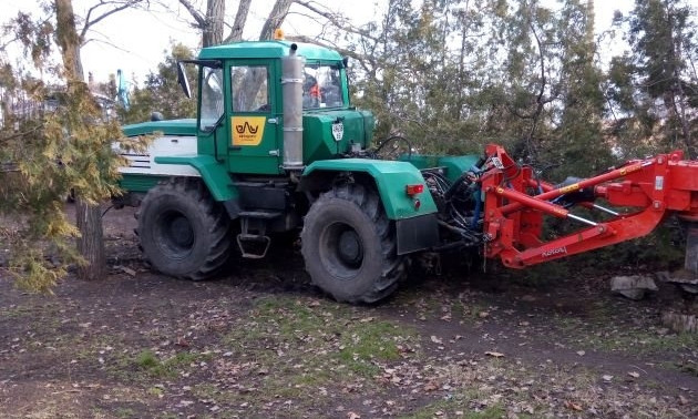 В Заводском районе Николаева с начала года снесено 52 аварийных дерева