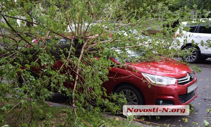 В центре Николаева дерево упало на припаркованный «Ситроен»