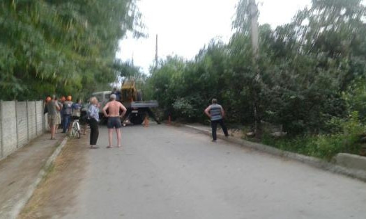 В Николаеве из-за сильного ветра на территории школы упало дерево
