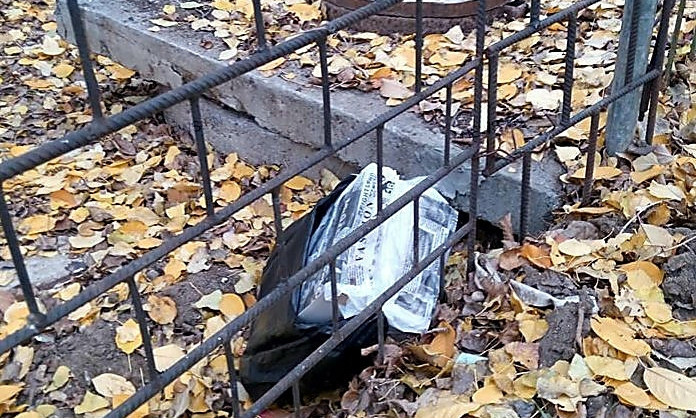 Подозрительная сумка переполошила работников николаевского интерната