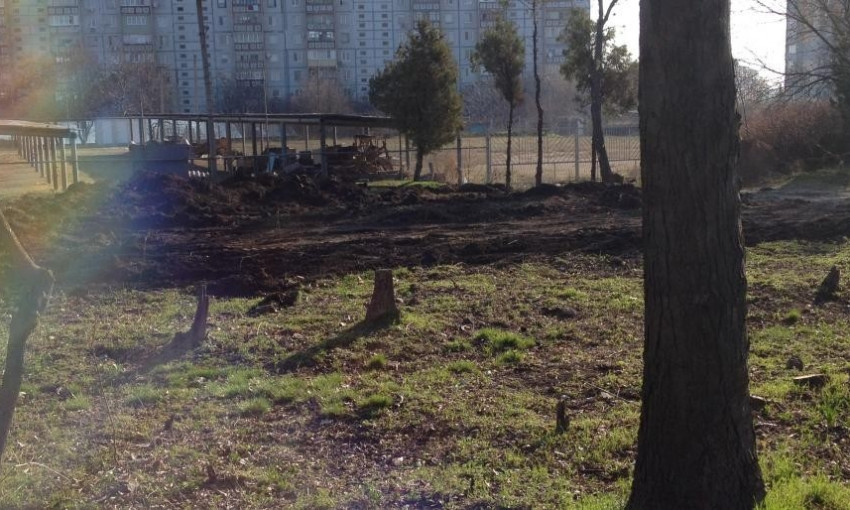 В Первомайске предприниматель, делая заезд, без спроса вырубил деревья