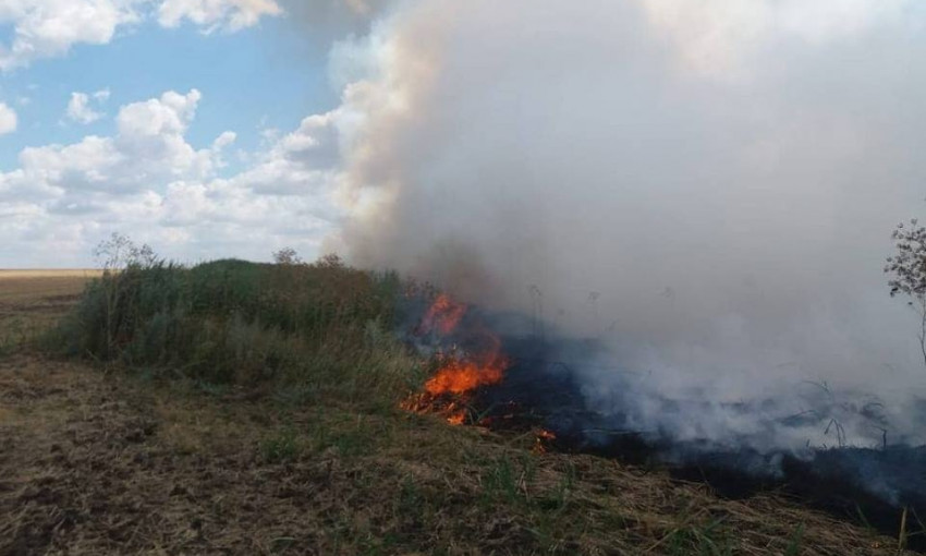 В Николаевской области загорелись три поля и лесополоса
