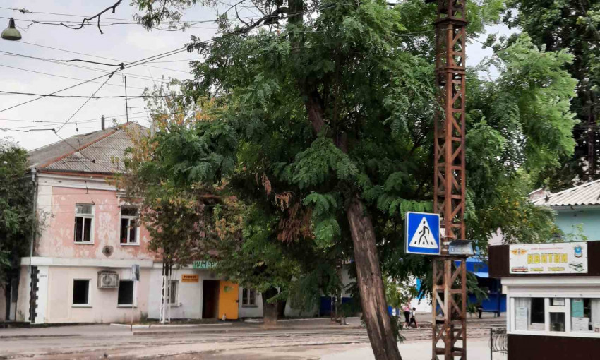 Центр Николаева не ухожен, - жалуются местные жители 