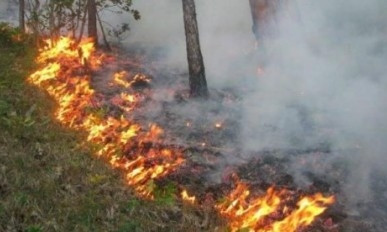 Гидрометцентр предупреждает о чрезвычайной пожарной опасности в Николаевской области