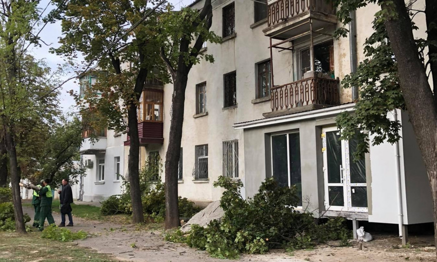 В центре города ликвидировали аварийные деревья 