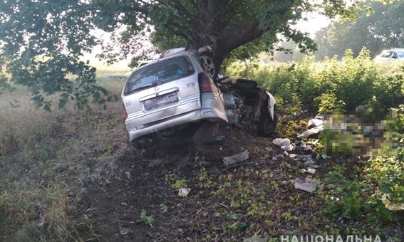 На Николаевщине «Opel Vectra» съехал в кювет и врезался в дерево, водитель погиб