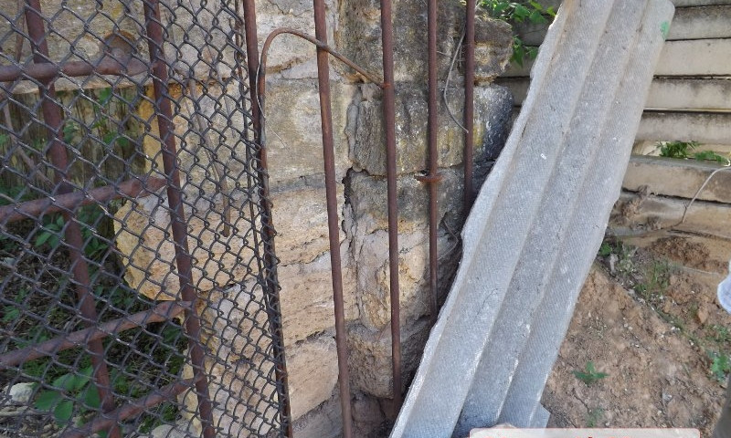Кто виноват в смерти альпака: в Николаевский зоопарк бродячие собаки проникают через дыры в заборе, прорехи латают шифером