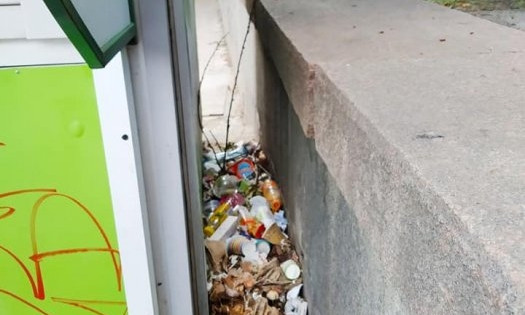 В районе Каштанового сквера местные жители устроили несанкционированную мусорную свалку
