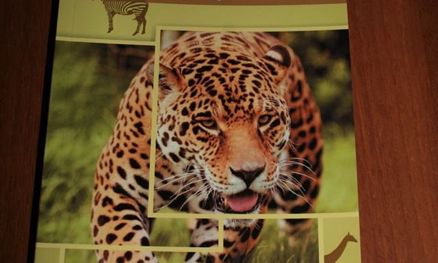 Сотрудники Николаевского зоопарка презентовали четвертый сборник научных работ  и новую фотозону