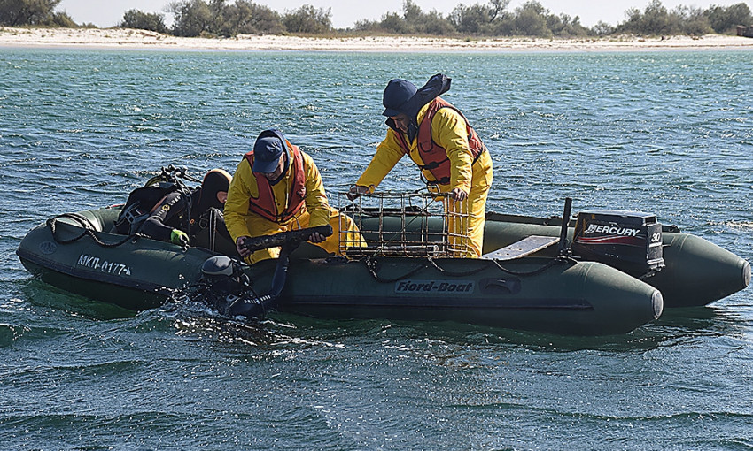 За несколько дней спасатели обнаружили на Кинбурне больше 100 взрывоопасных предметов