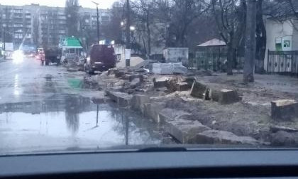 В Николаеве возле госпиталя срубили тополя — жители заподозрили, что из-за нового тротуара