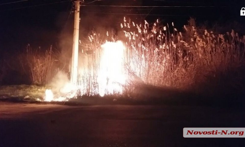 Ночью в Николаеве снова масштабно горел камыш — едва не загорелся дом