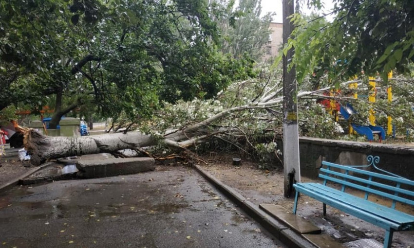 В Николаеве  на улице Фрунзе на детскую площадку упал огромный тополь