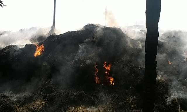 В Новом Буге сгорело несколько тонн сена