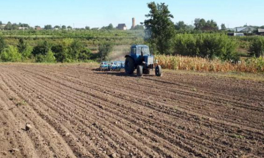 В Николаевской области аграрии начали посев озимых зерновых культур под урожай-2020