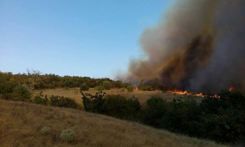Поджоги стали причиной пожаров на Николаевщине