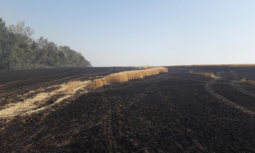 На Николаевщине выгорело более 13 гектаров пшеничного поля