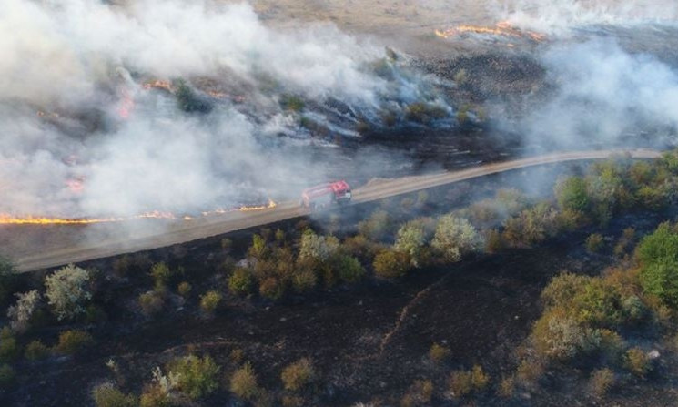 В Николаевской области произошел пожар в заповеднике 