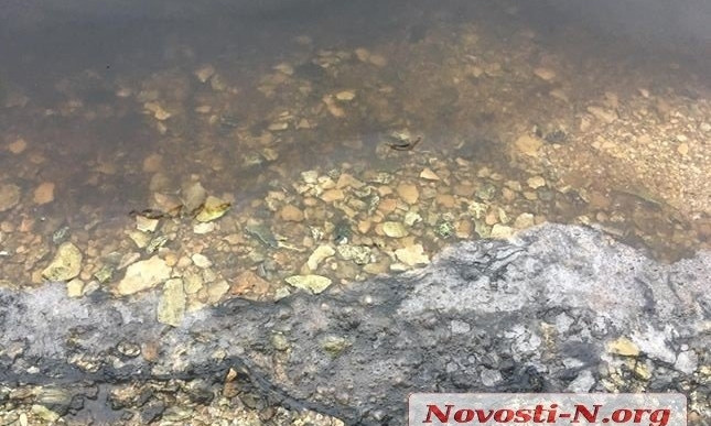 В Николаеве на берегу реки Южный Буг появились черные маслянистые пятна
