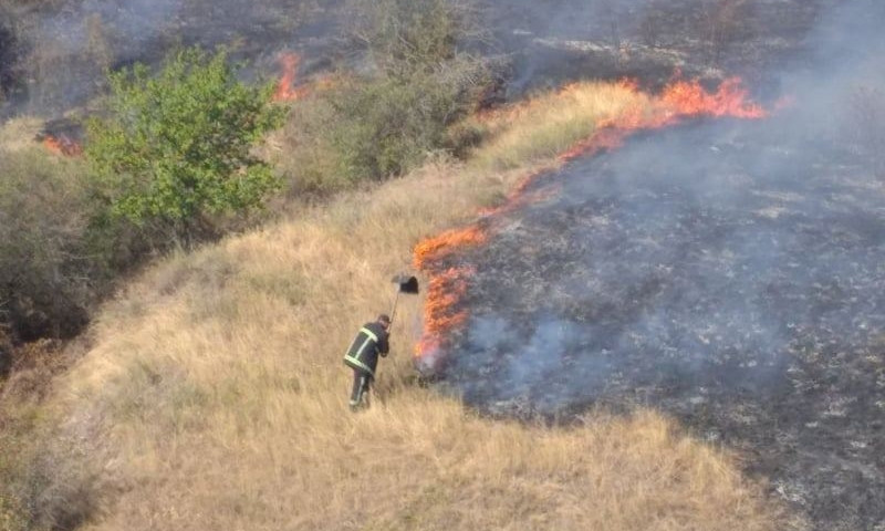 Масштабный пожар на открытой территории спасатели Николаевщины локализовали 