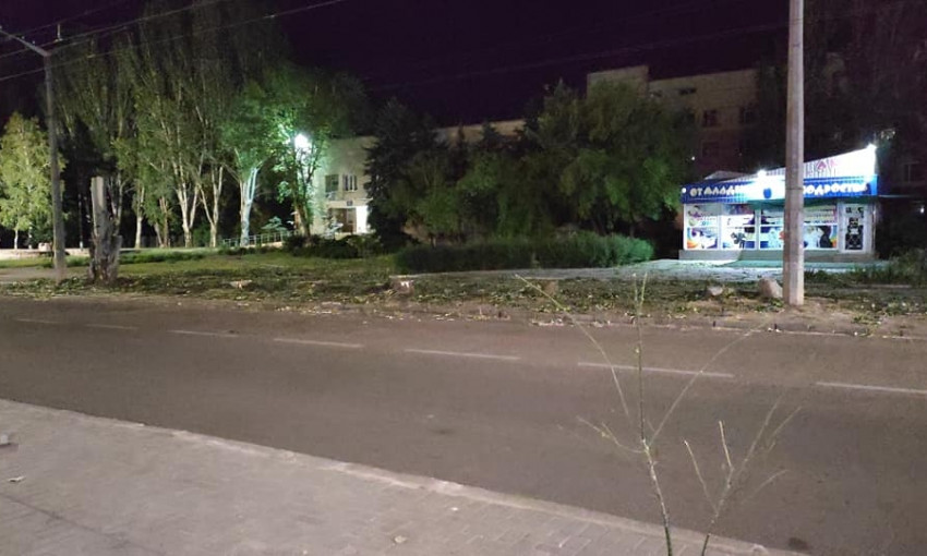 На улице Курортной в Николаеве спилили 11 тополей – власти объяснили причину