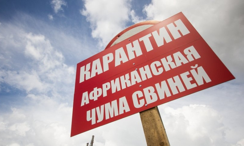 На Николаевщине зафиксировали случаи АЧС: введен карантин